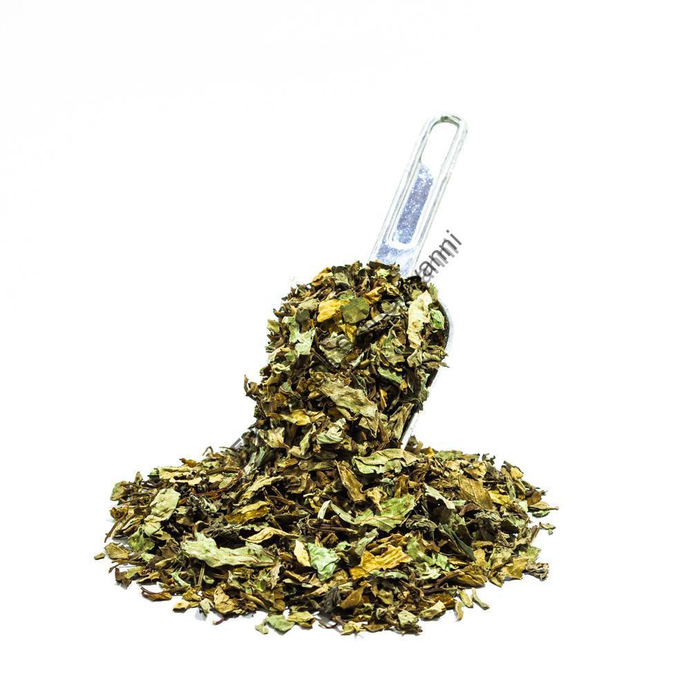 ORTHOSIPHON FOGLIE TAGLIATE (Orthosiphon stamineus Bentham)